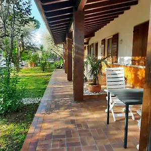 https://elisa-holidays-apartments.it-lombardy.com