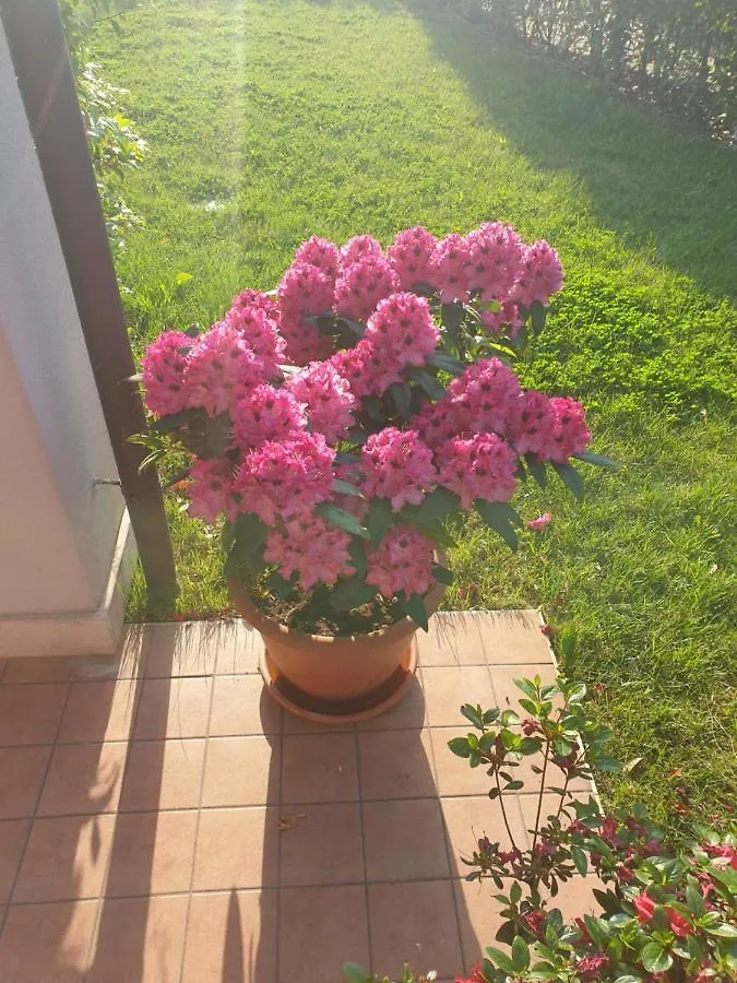 Casa Vacanze Da Riki Peschiera del Garda Holiday home